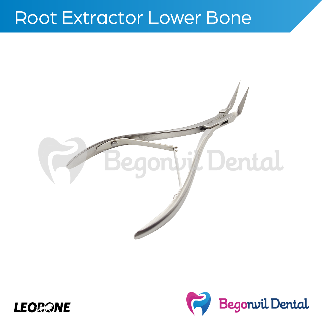 Root Extractor Lower Bone